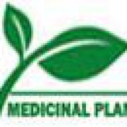 plantsgate logo